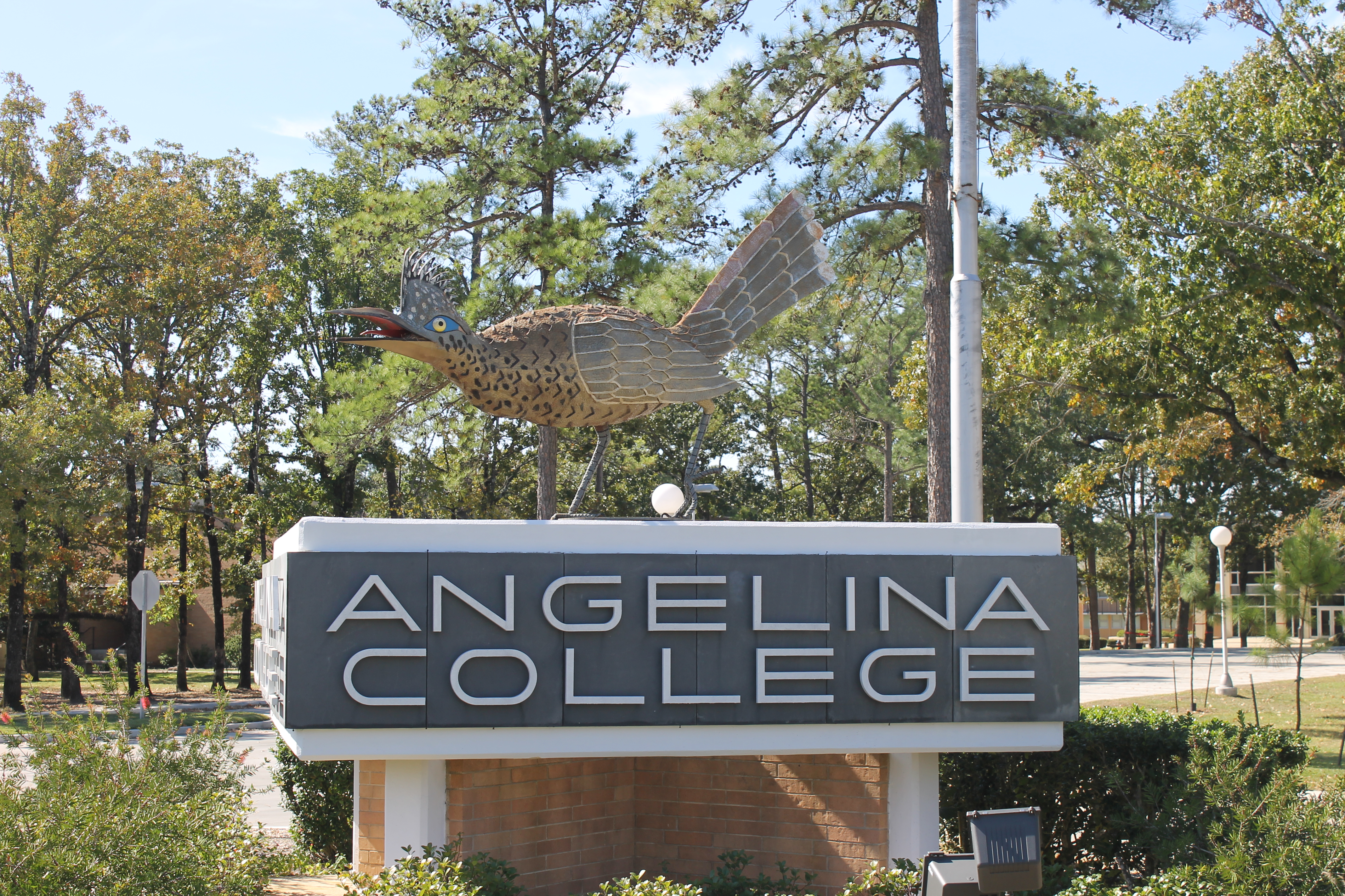 Angelina College