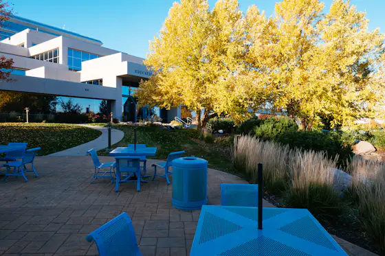 Bellevue University Campus