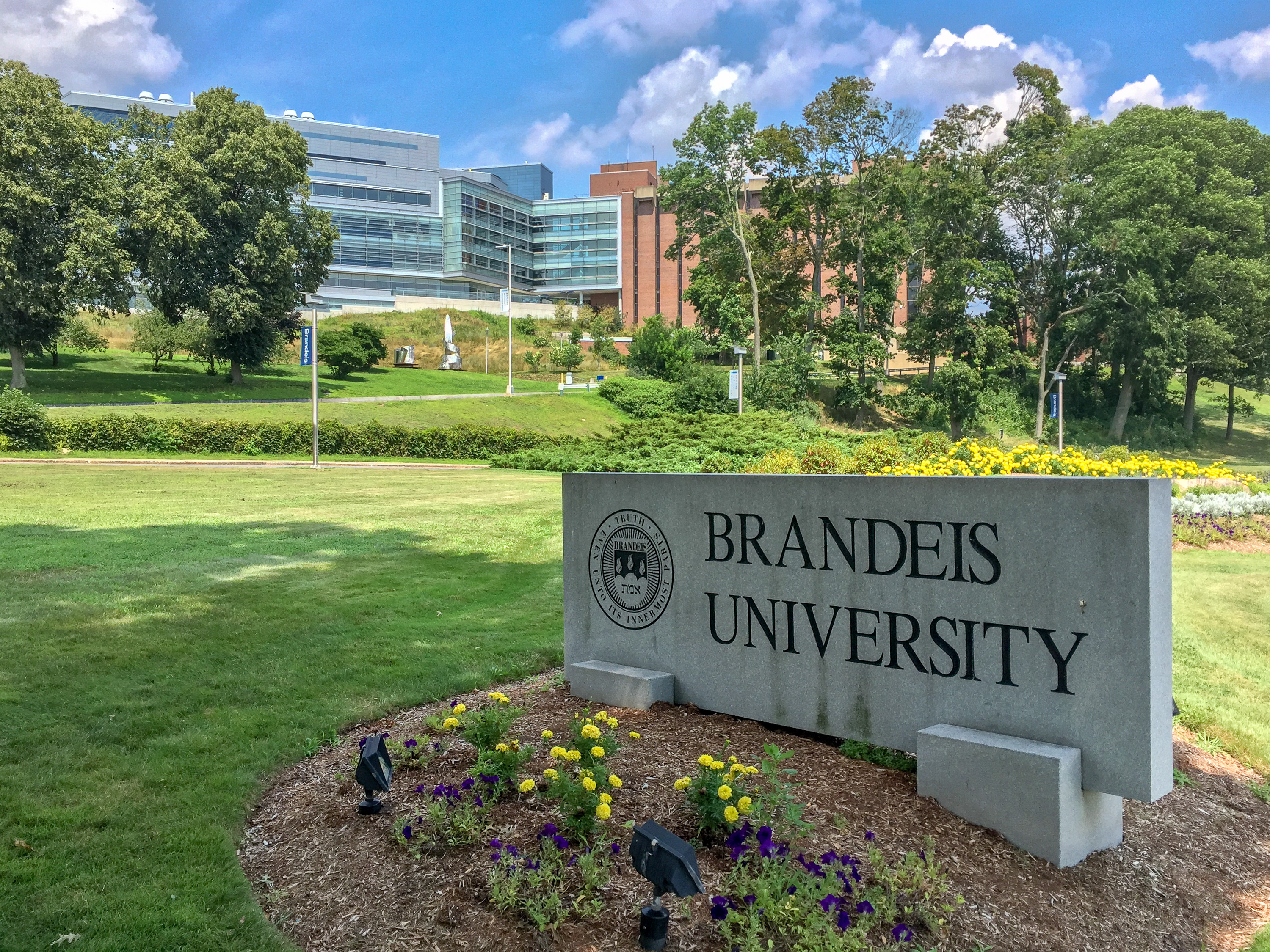 Brandeis University