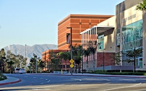 California State University Los Angeles