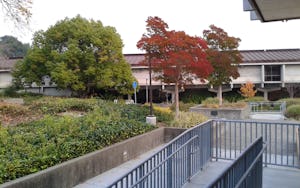 College of Marin