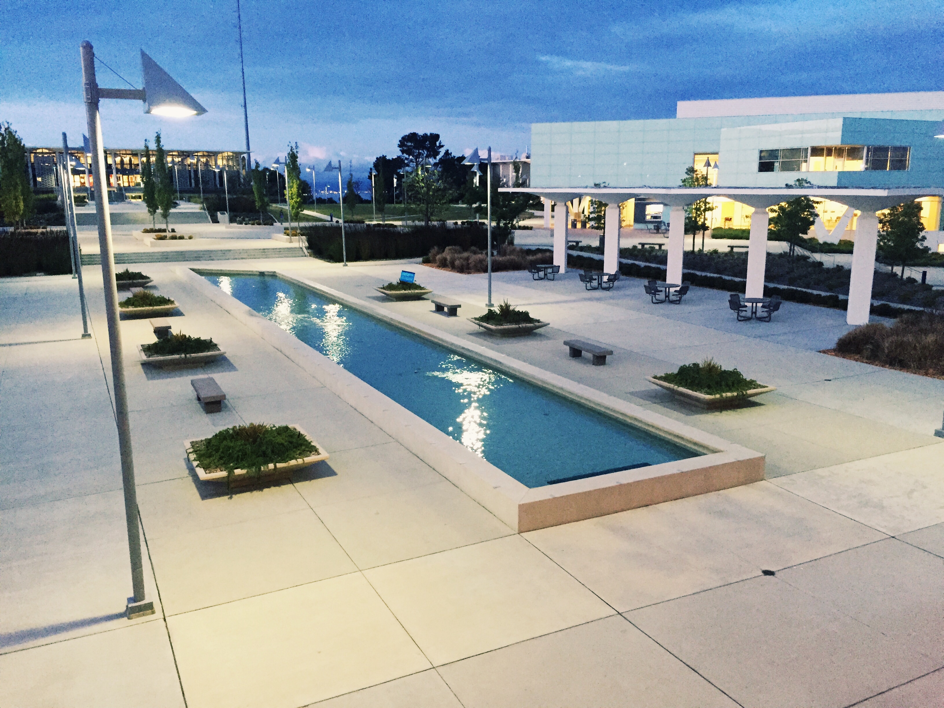 College of San Mateo