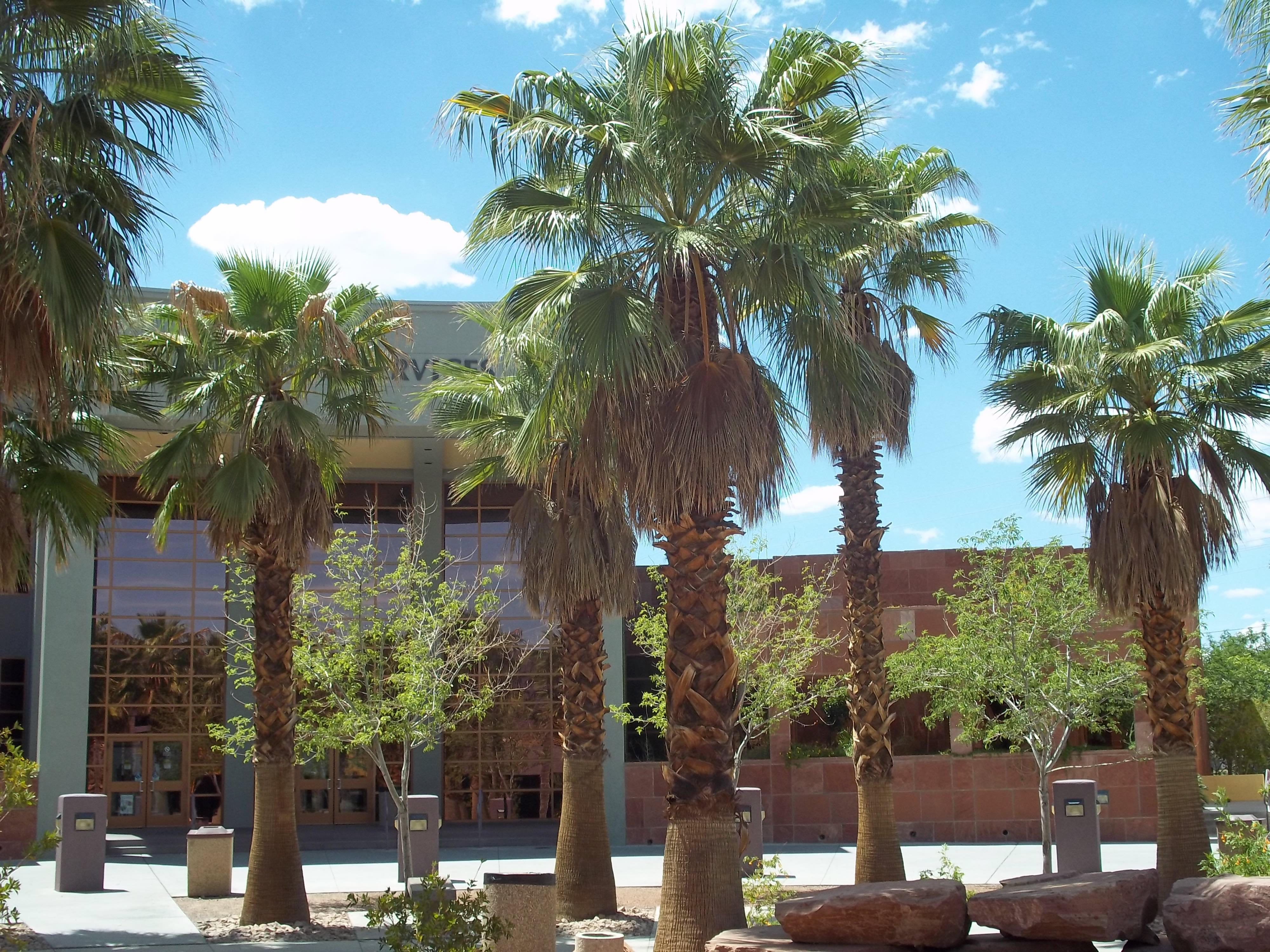 College of Southern Nevada