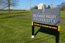 Delaware Valley University