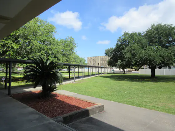 Delgado Community College Campus