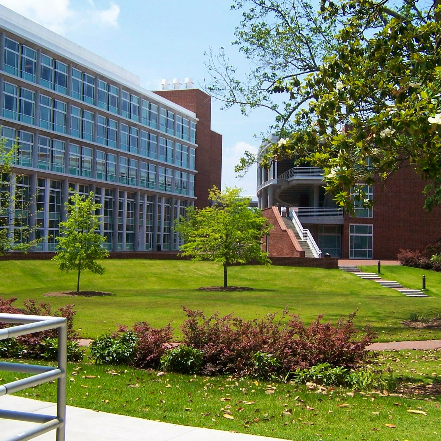 Colleges in Stonewall, North Carolina and Colleges near Stonewall