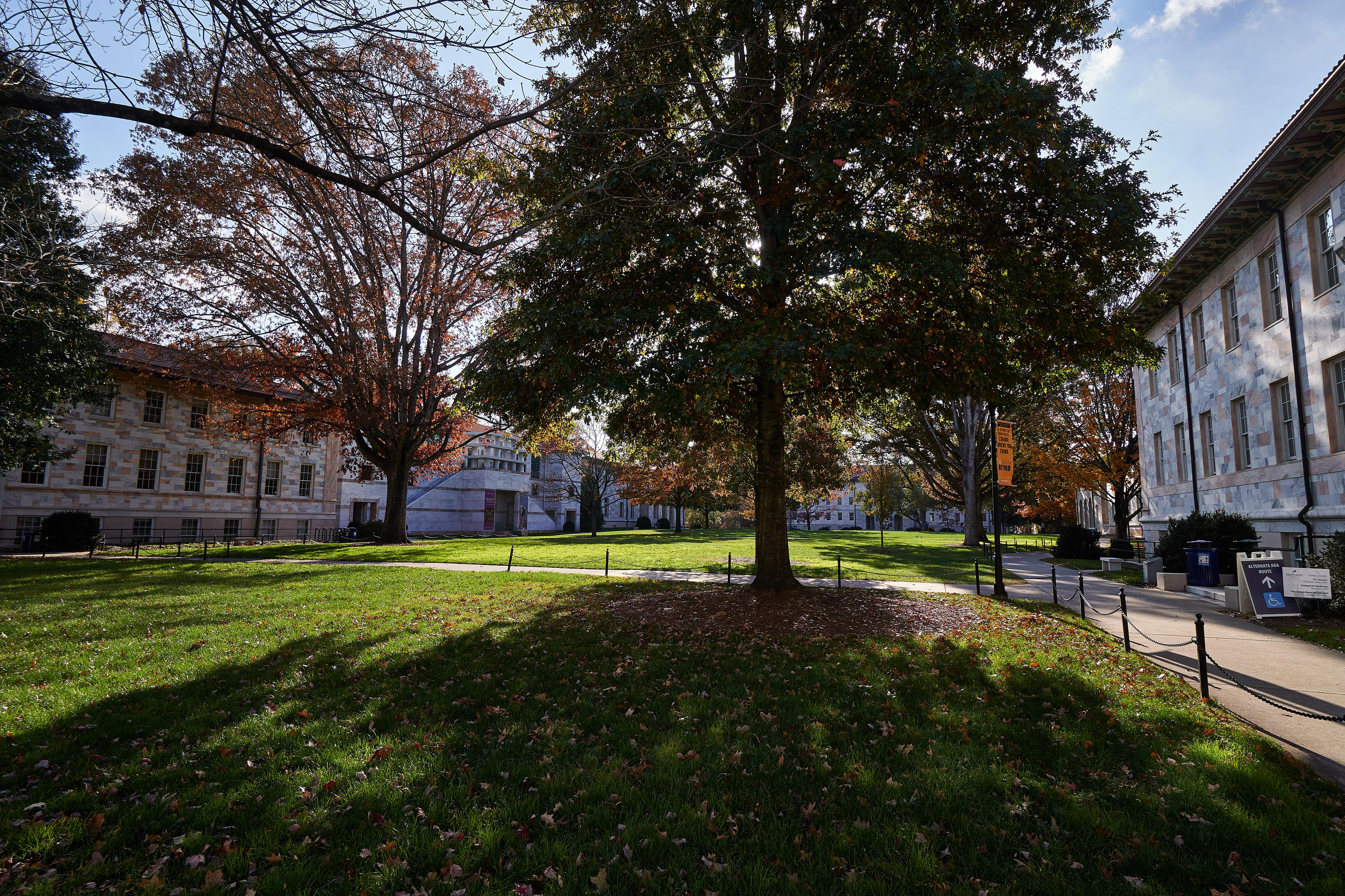 Emory University - Admission Requirements, SAT, ACT, GPA and chance of ...