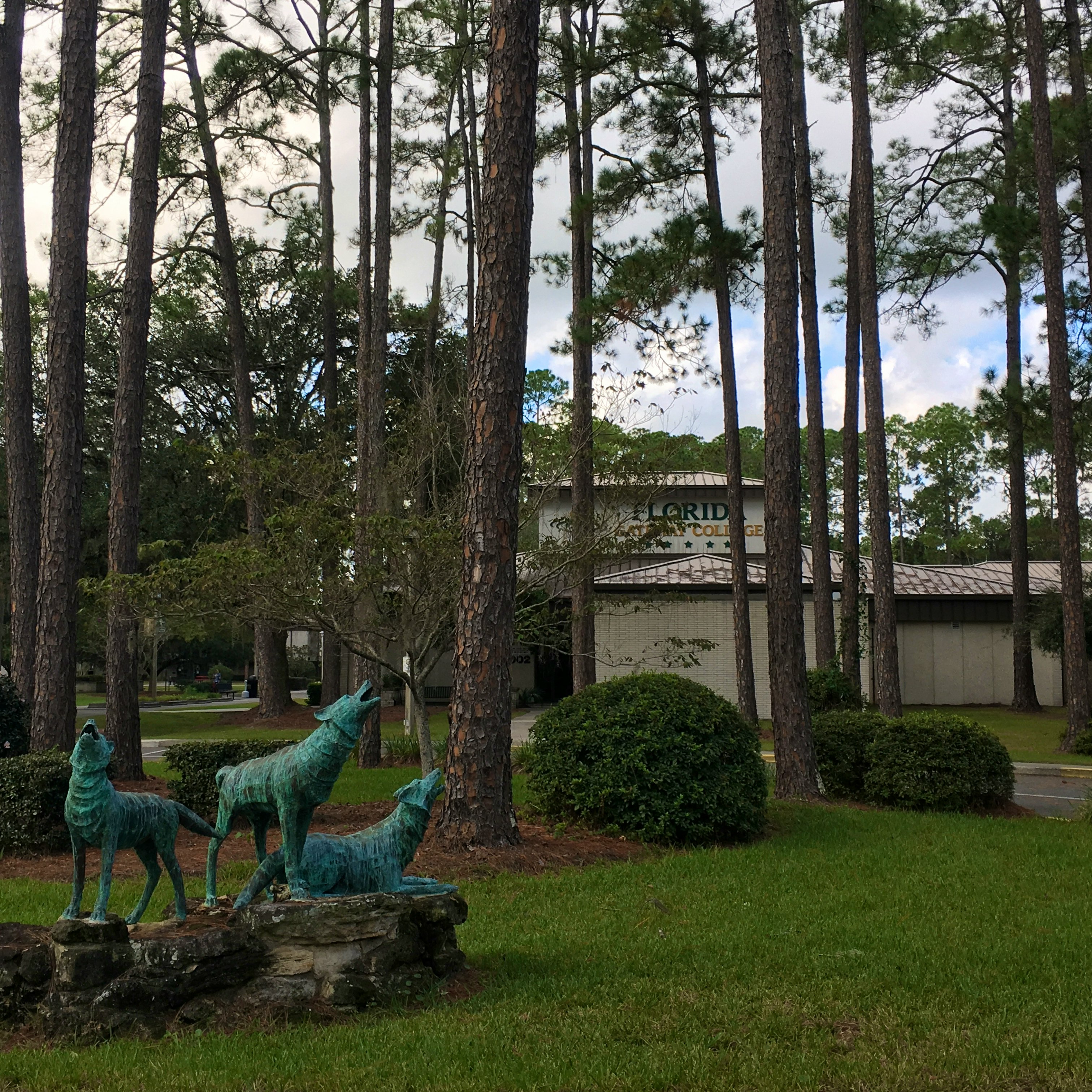 Community Colleges in St. Marys, Georgia and Colleges near St. Marys