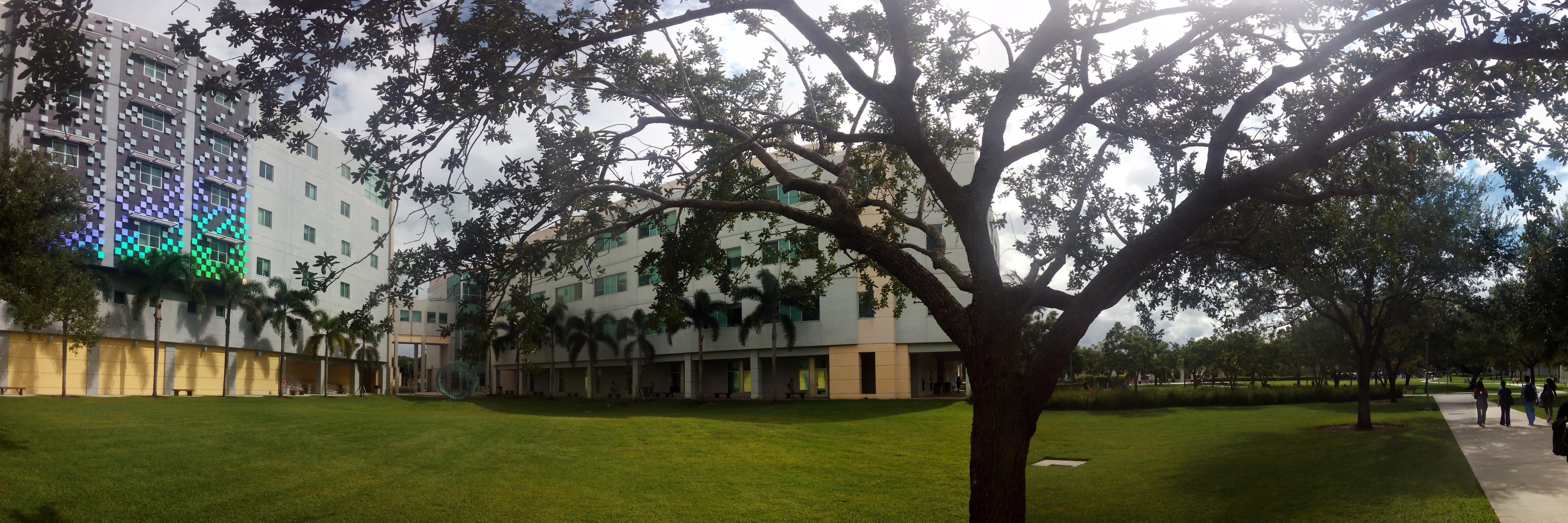 Florida International University