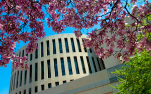 Indiana State University