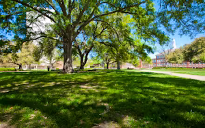 Louisiana Tech University