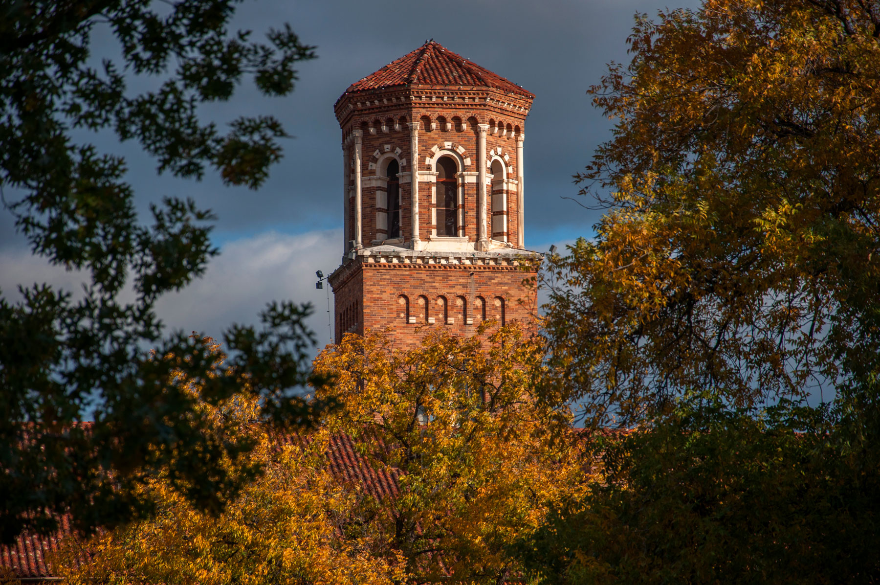 Midwestern State University