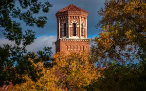 Midwestern State University