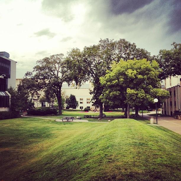 Minneapolis College of Art and Design