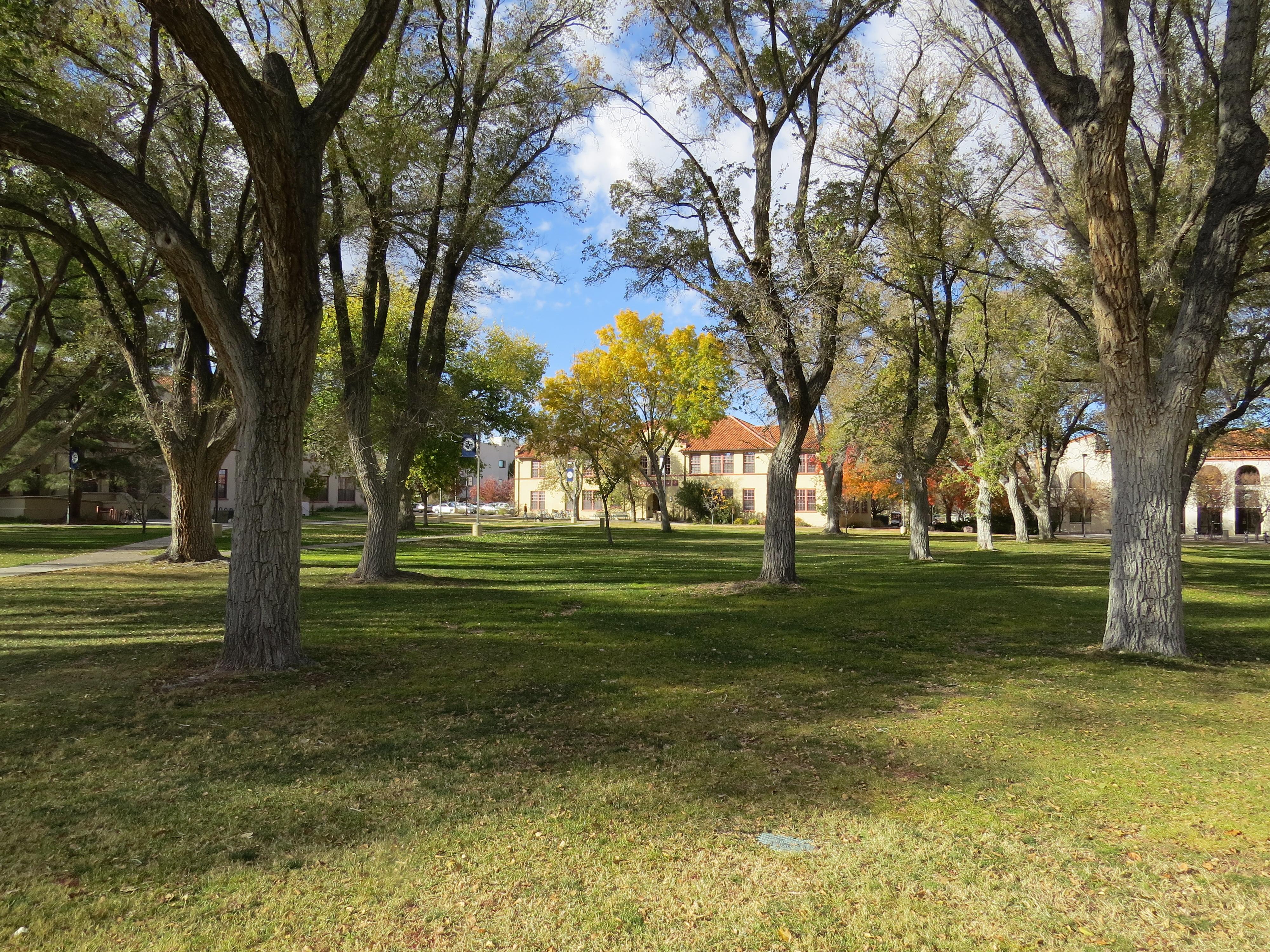 New Mexico Institute of Mining and Technology