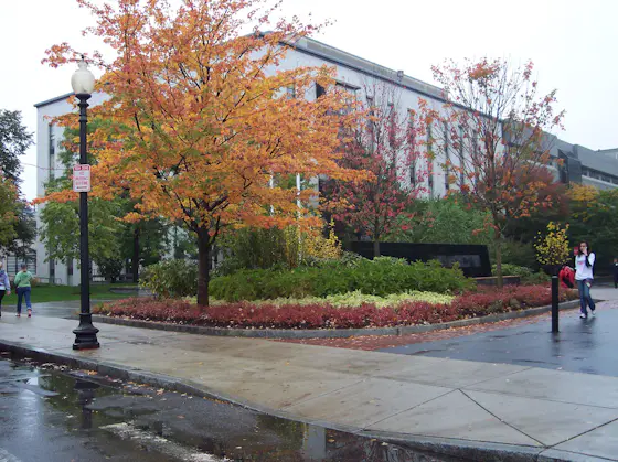 Northeastern University Campus