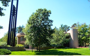 Northwood University Michigan