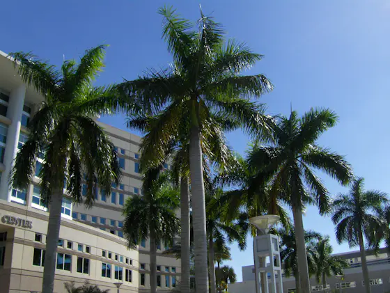 Nova Southeastern University Campus