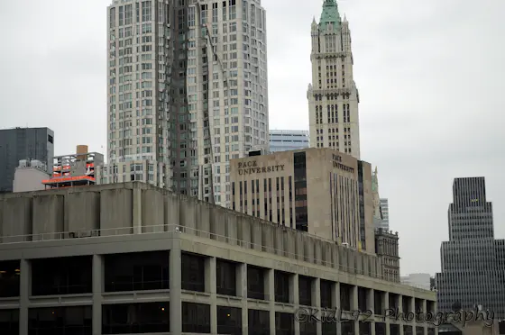 Pace University Campus