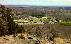 Quinnipiac University