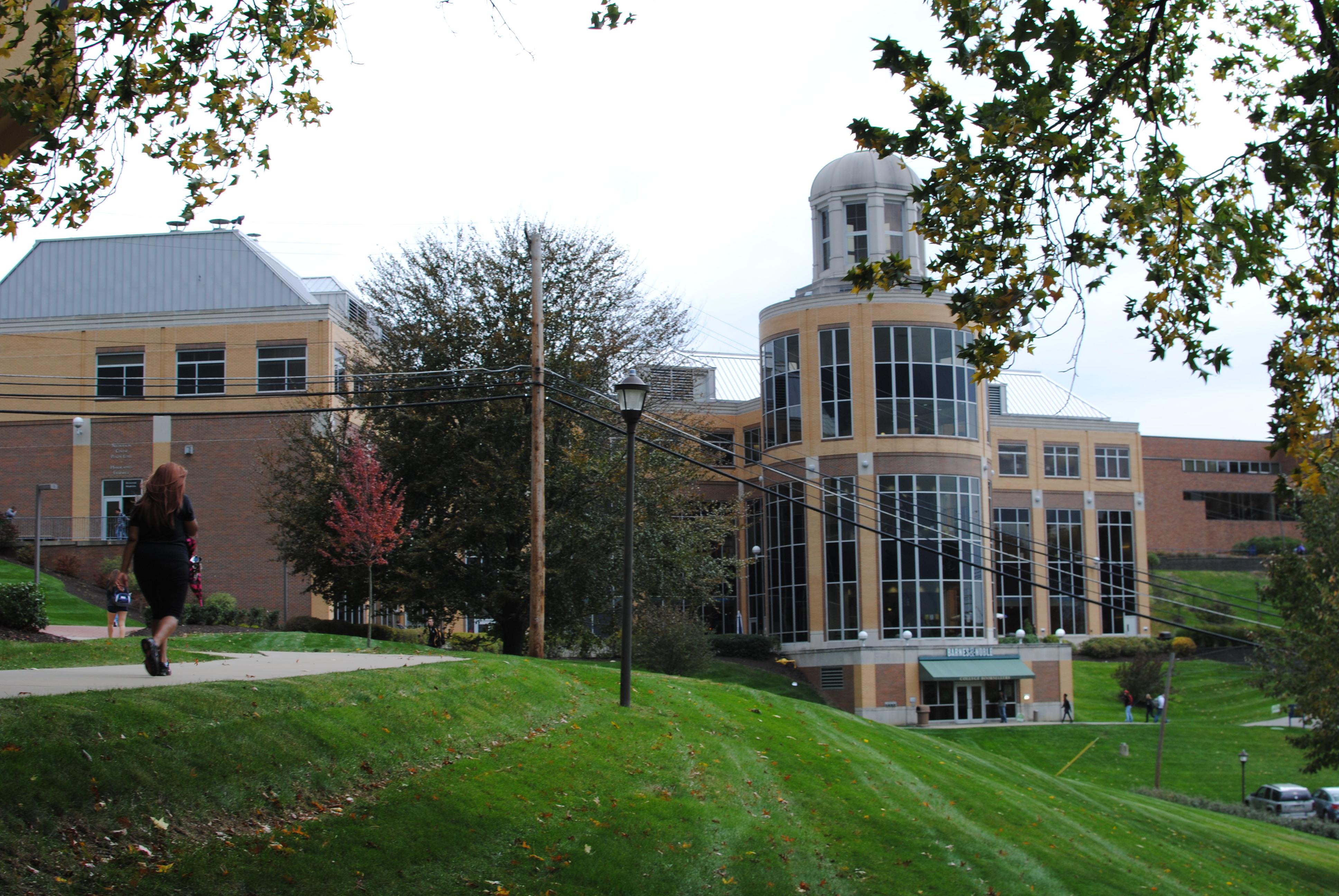 Robert Morris University