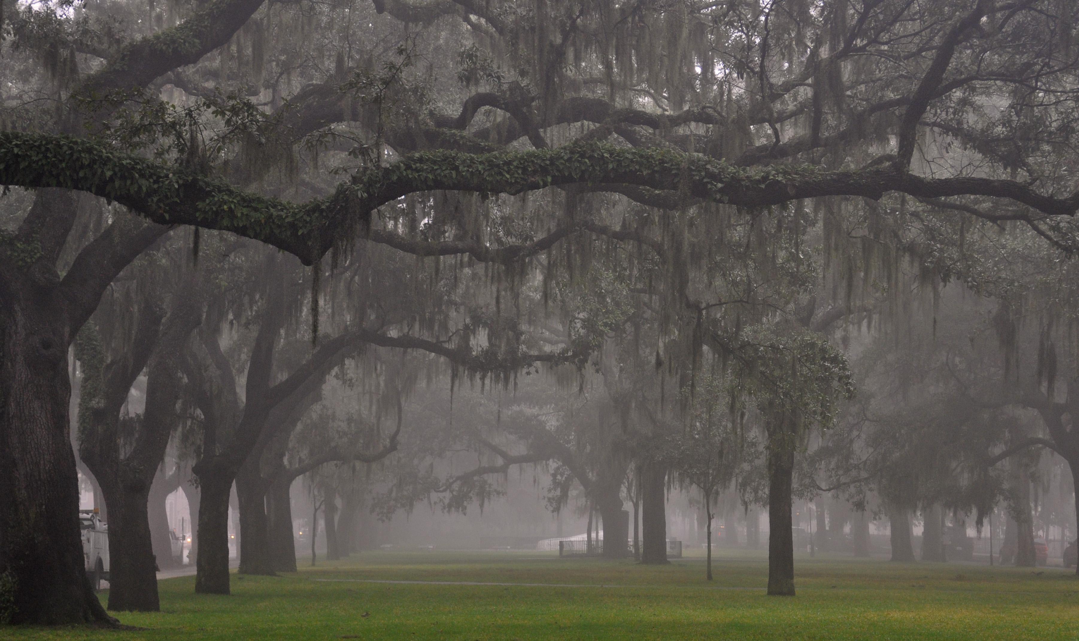 Savannah State University