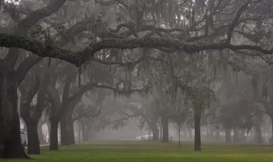 Savannah State University Campus