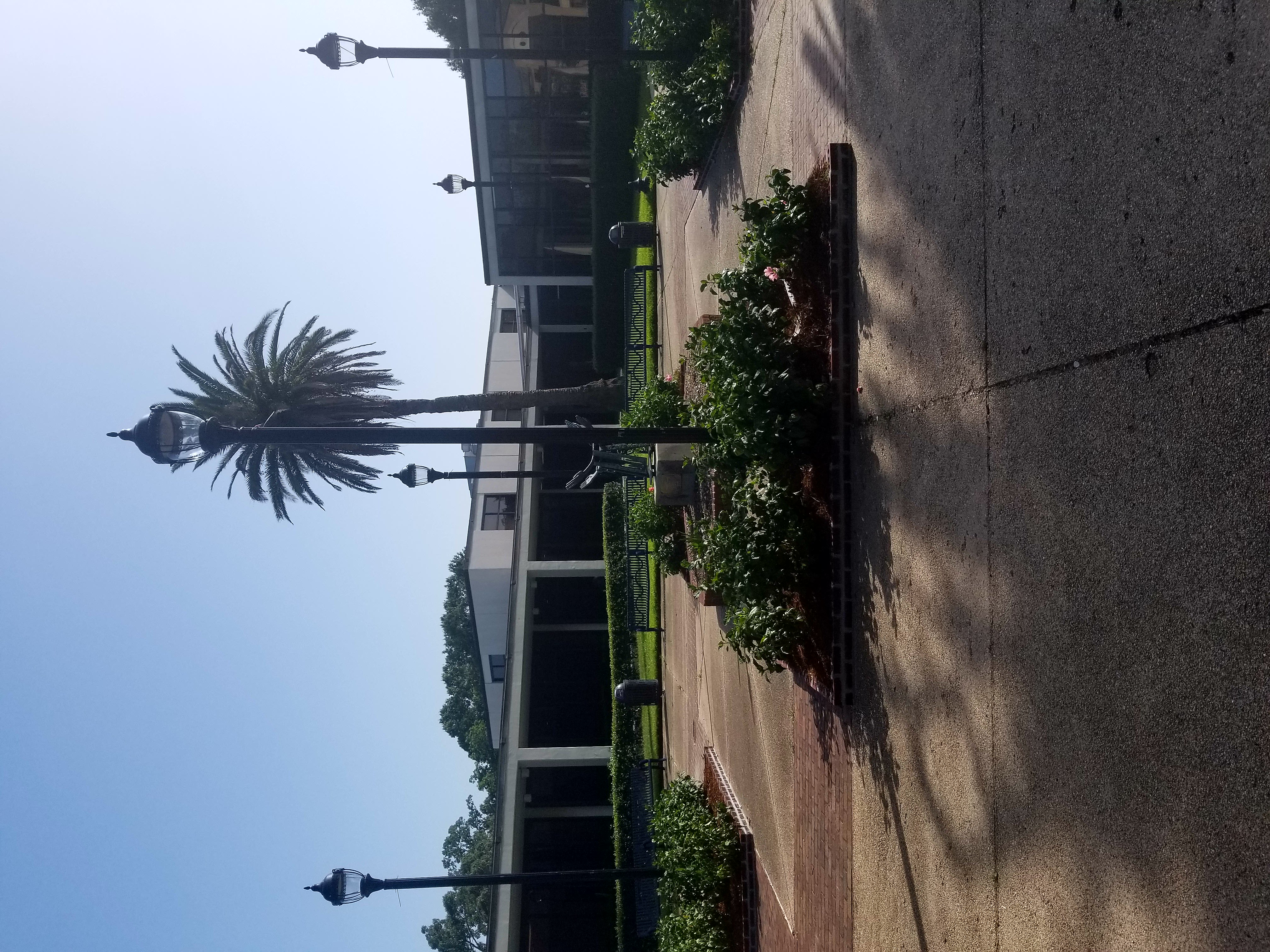 Southern University and A & M College