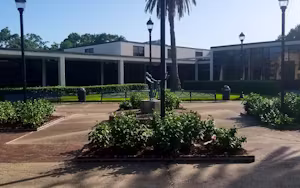 Southern University and A & M College