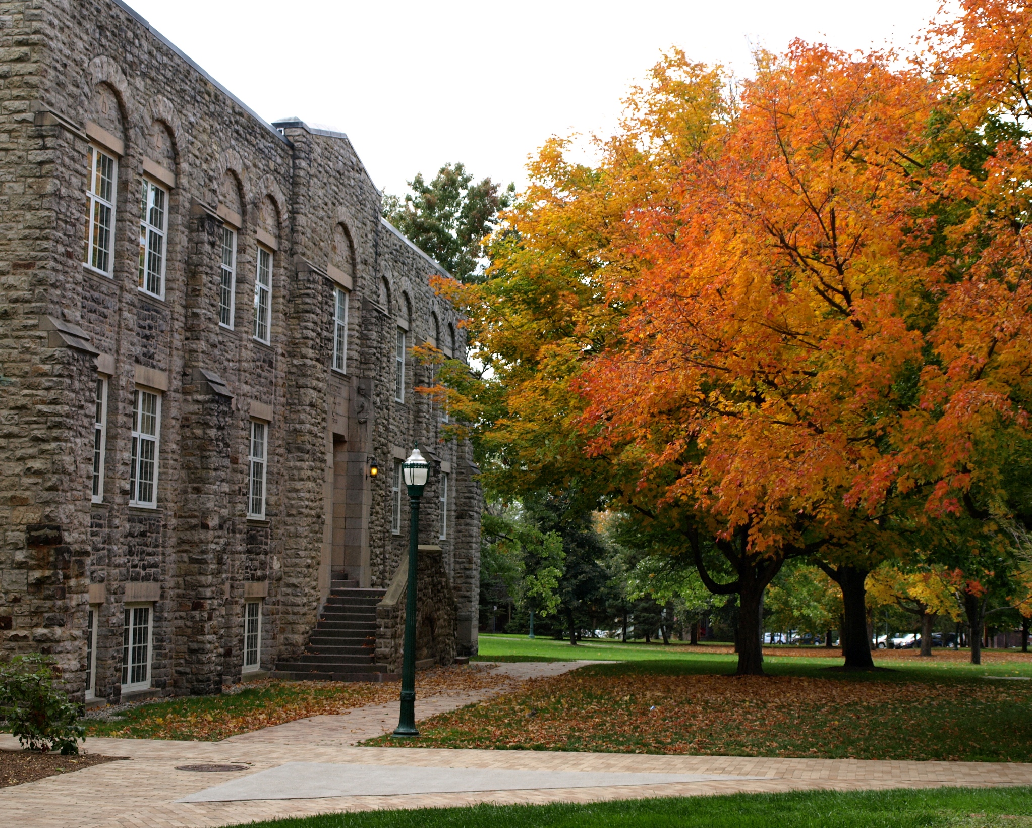 St Lawrence University