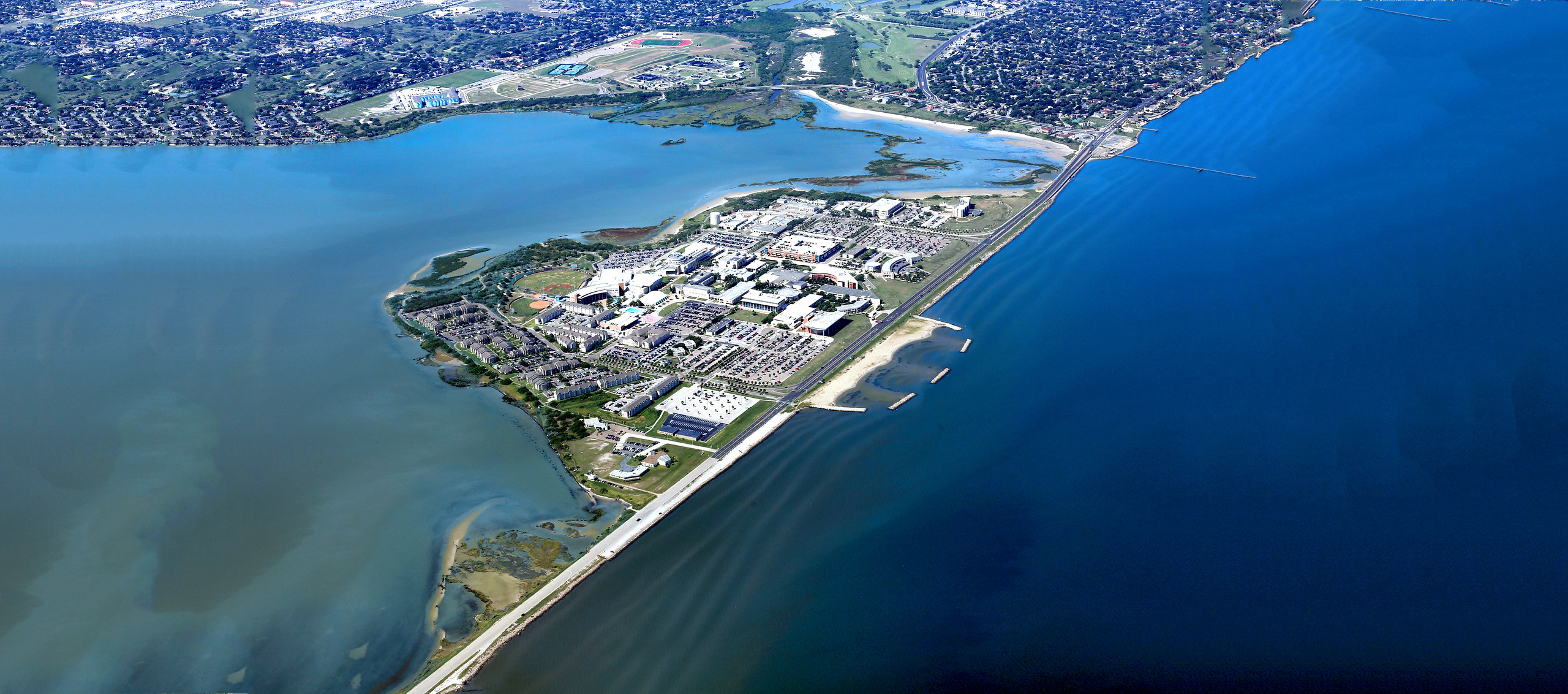 Texas A&M University Corpus Christi