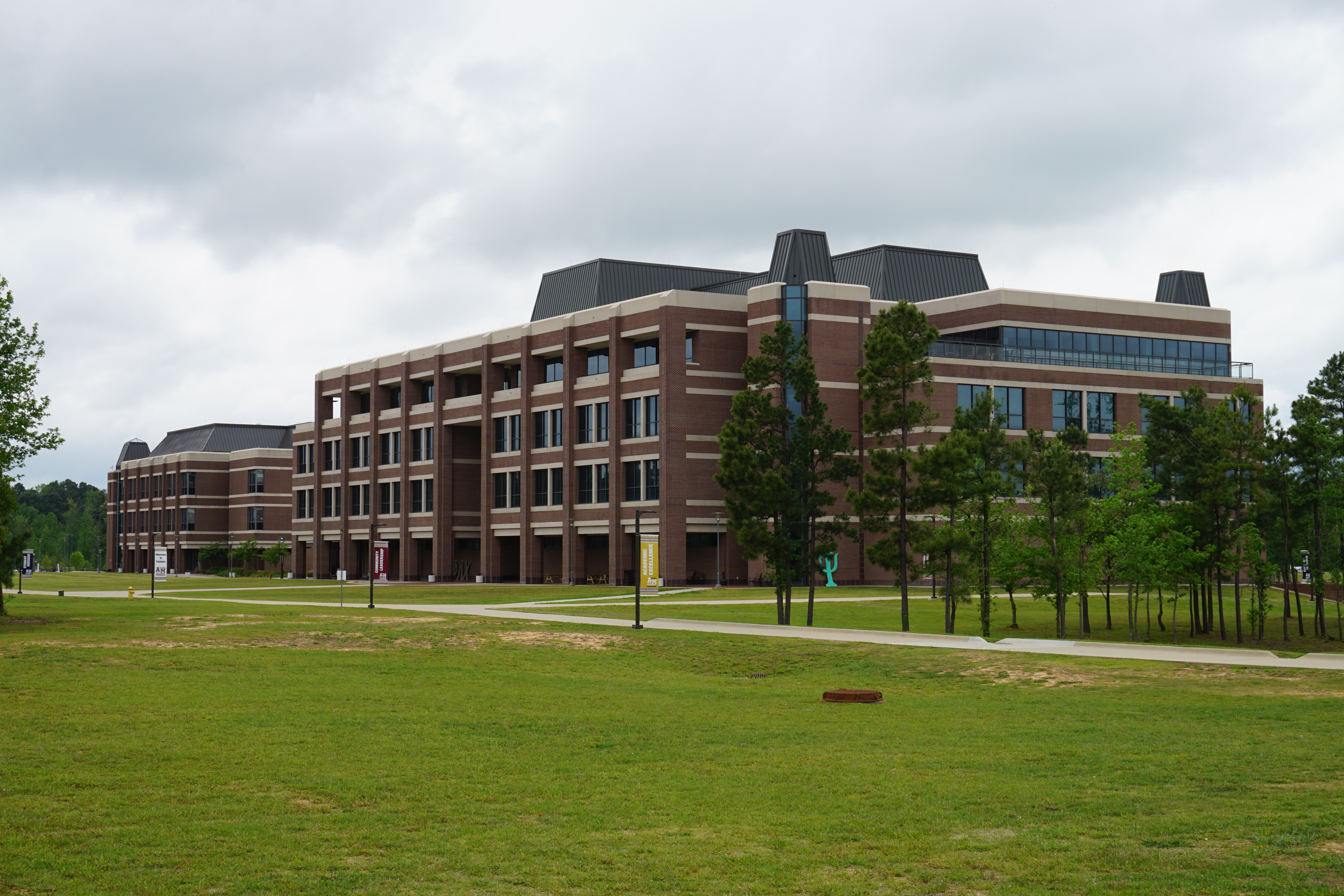 Texas A&M University Texarkana