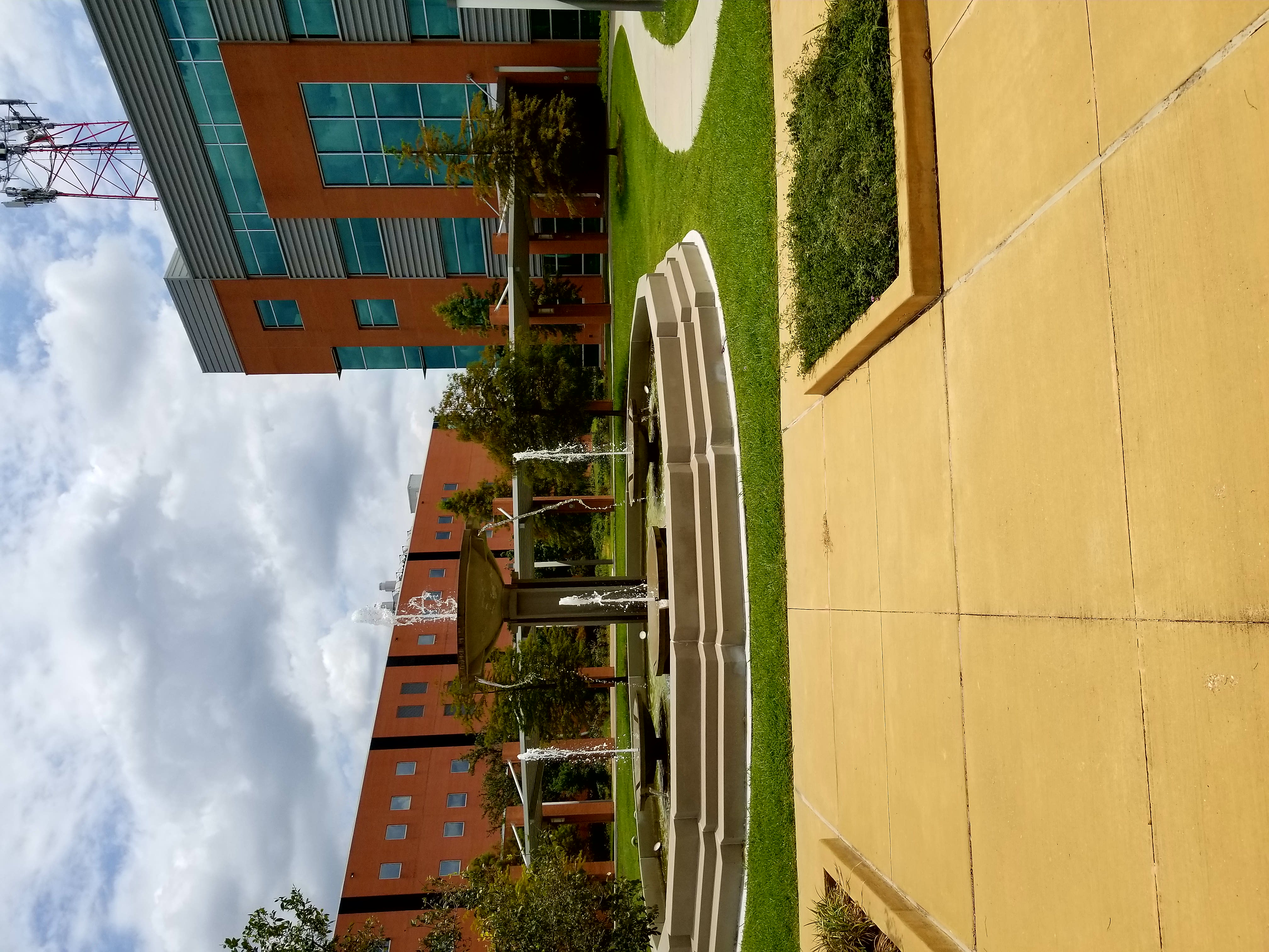 Texas Southern University