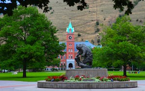 The University of Montana