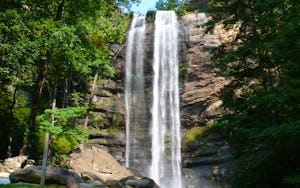 Toccoa Falls College