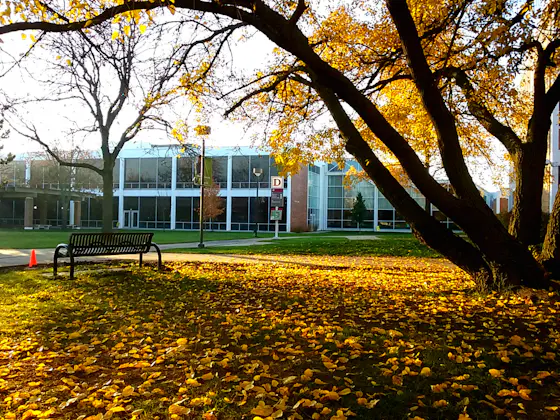 Triton College Campus
