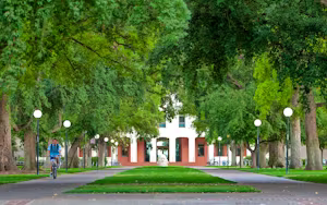 University of California Davis