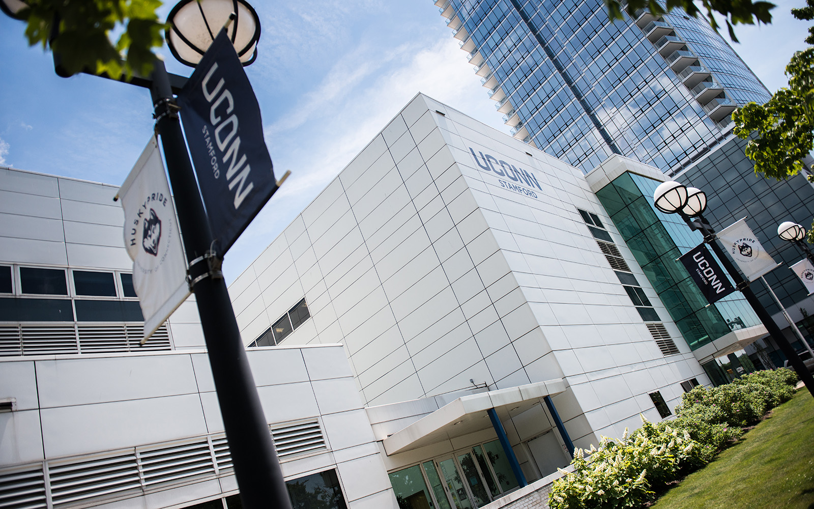 University of Connecticut Stamford