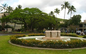 University of Hawaii at Manoa