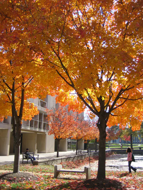 University of Maryland Baltimore County Campus