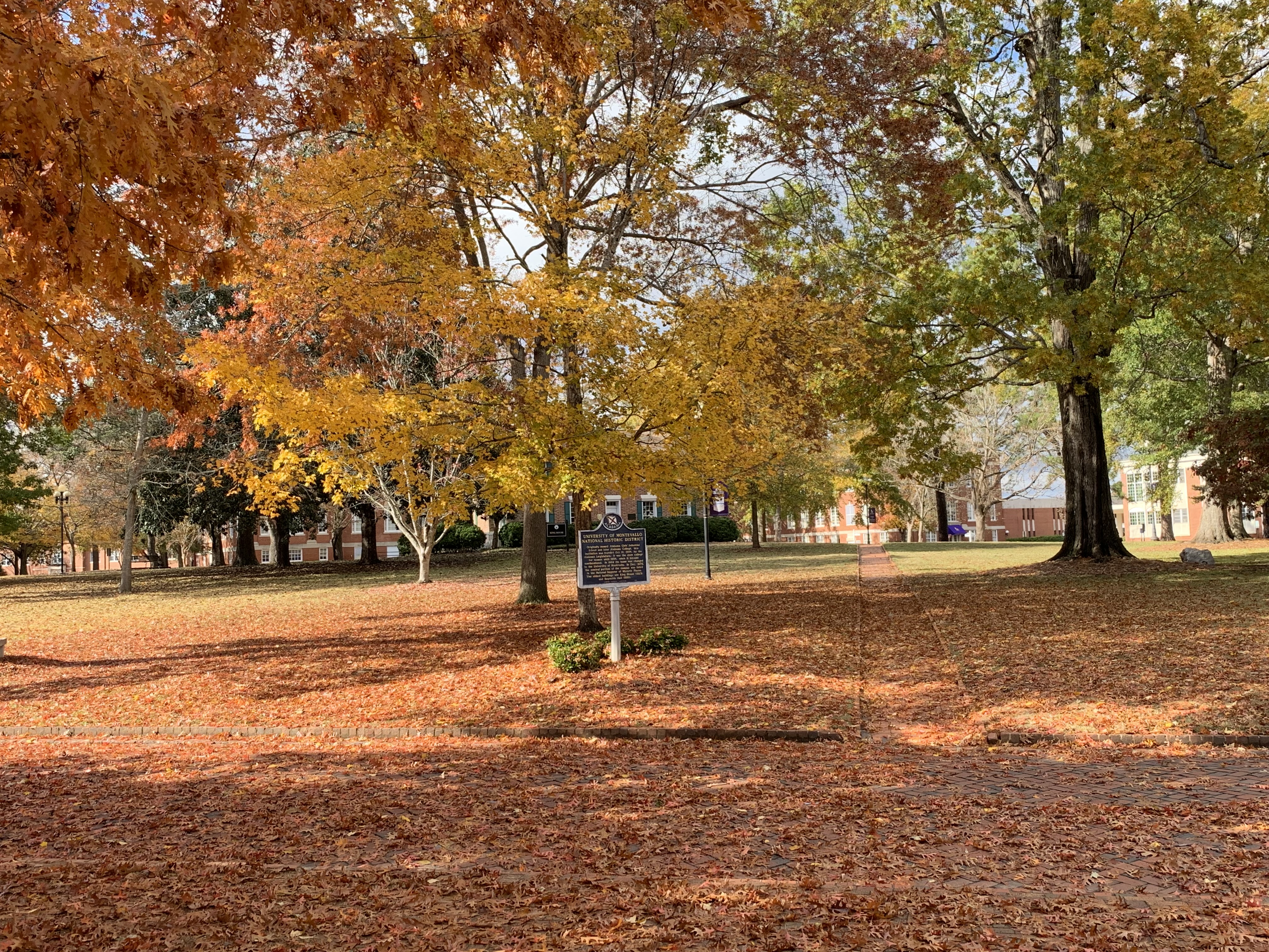 University of Montevallo