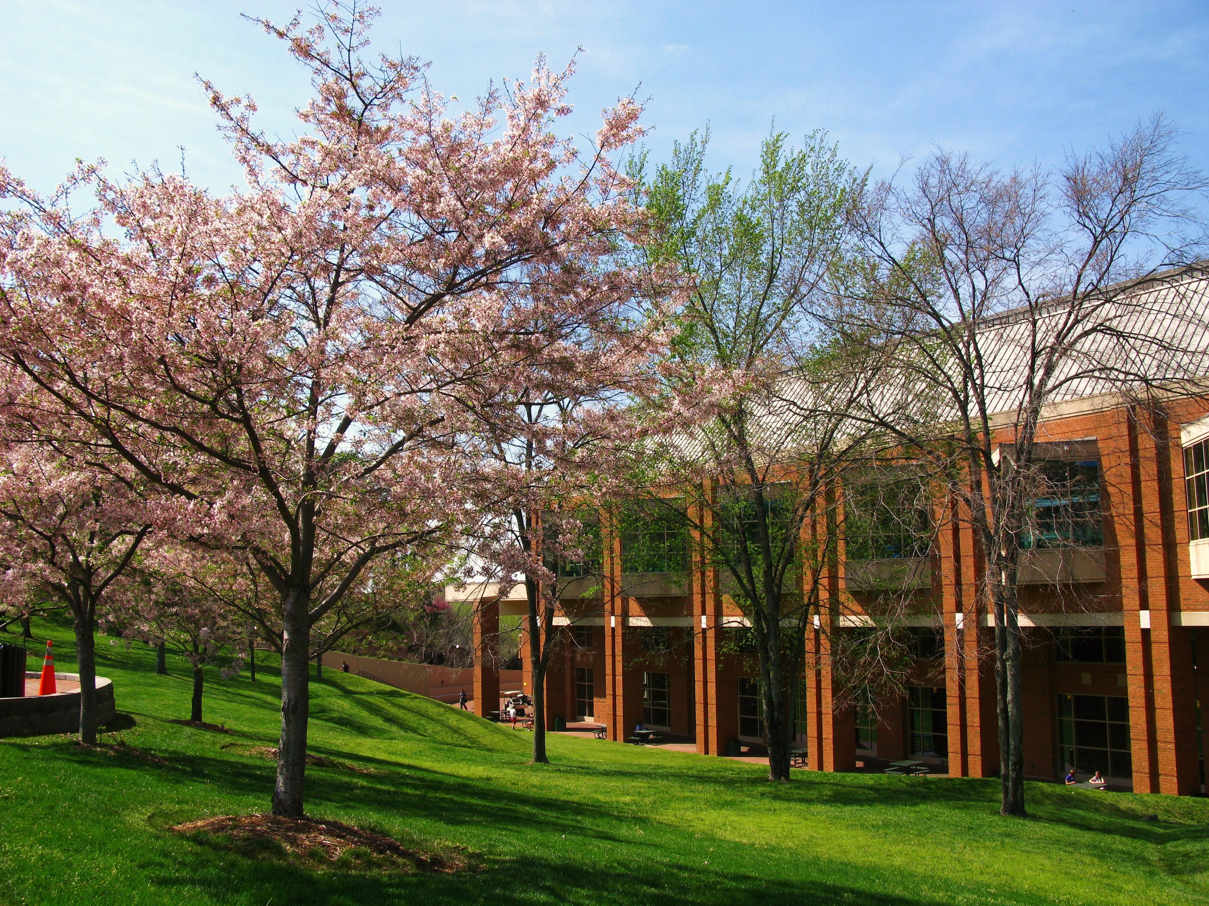 University of North Carolina at Charlotte