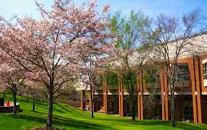 University of North Carolina at Charlotte