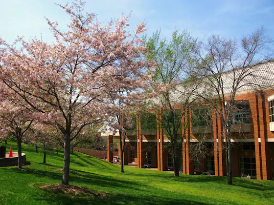 University of North Carolina at Charlotte Campus