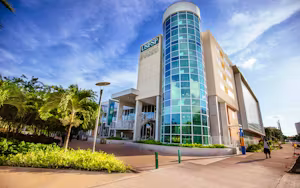 University of South Florida St. Petersburg Campus