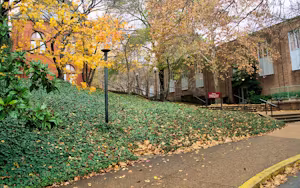 Vanderbilt University