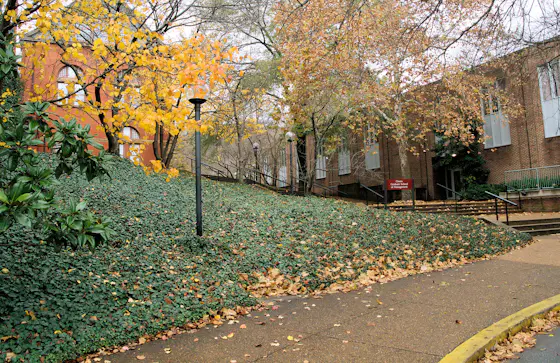 Vanderbilt University Campus