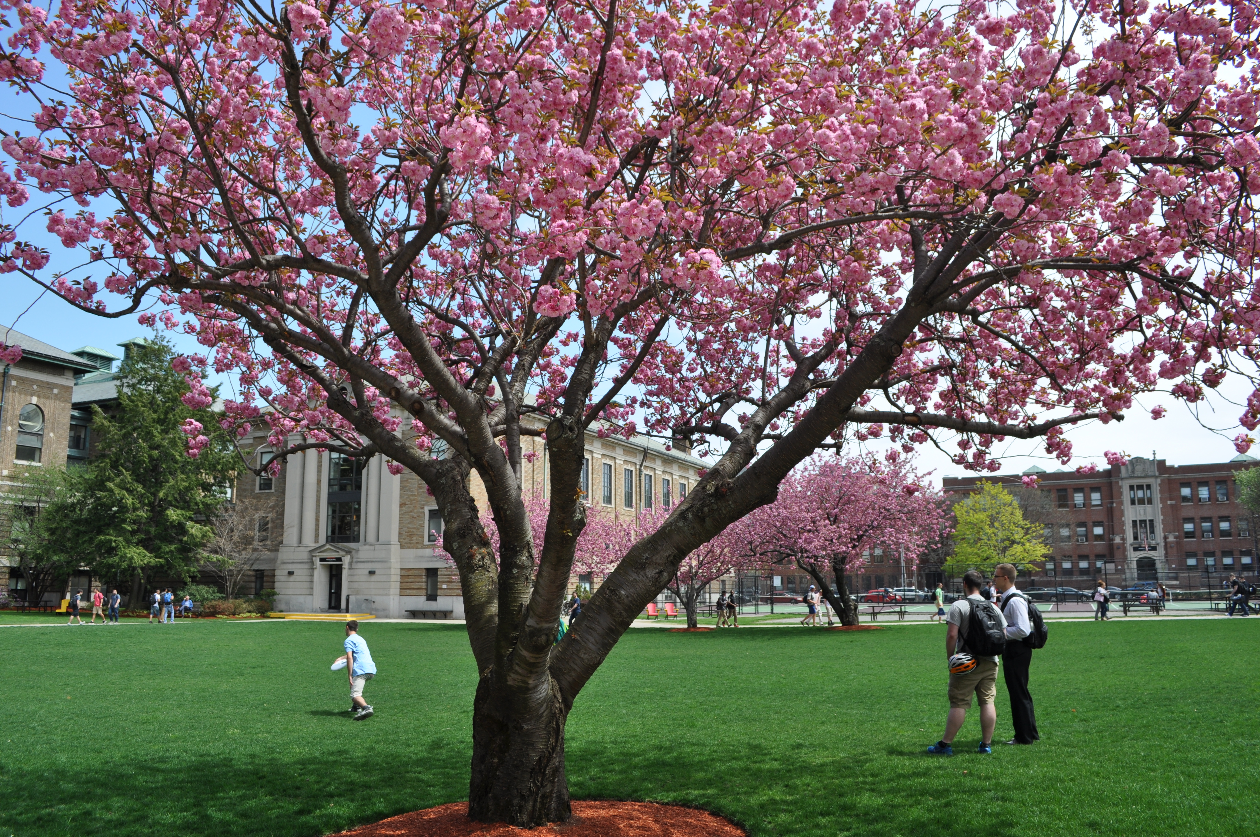 Wentworth Institute of Technology