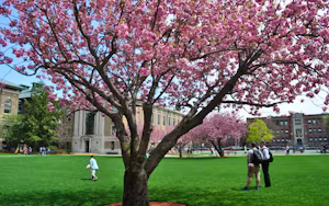 Wentworth Institute of Technology