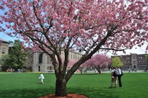 Wentworth Institute of Technology